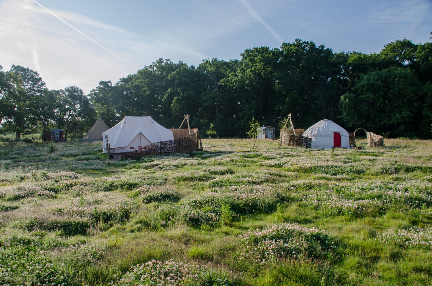 knepp-estate-glamping-west-sussex