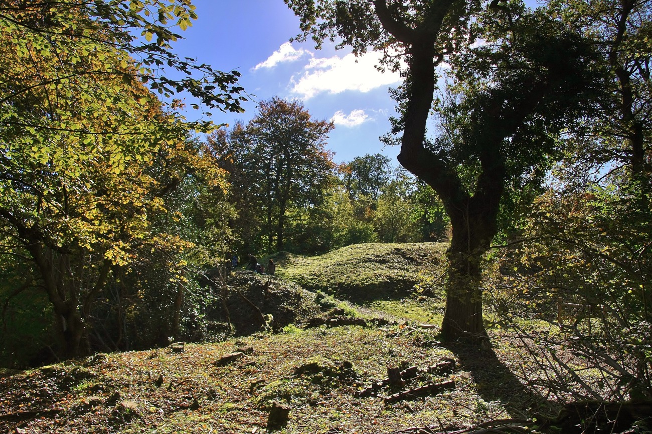 Leigh Woods, Bristol