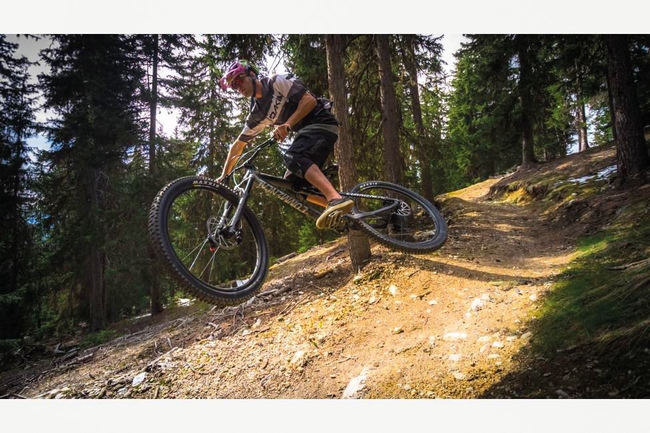 Les Arcs Mountain Biking forest.jpg