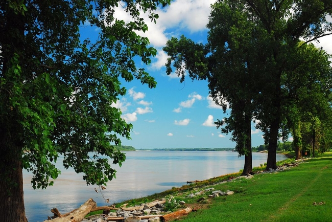 Mississippi River, Tenessee, USA.jpg
