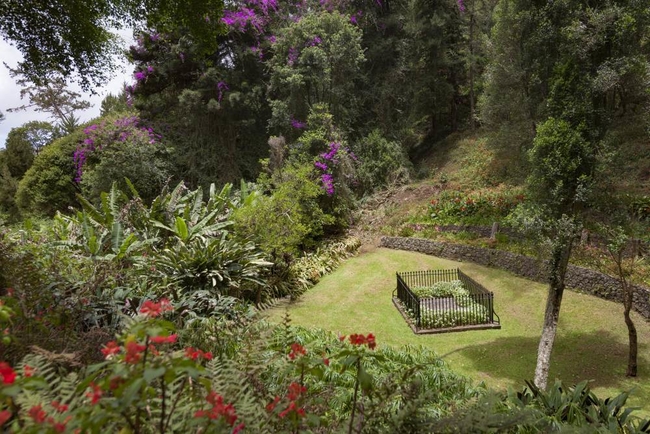 Napoleon Bonaparte's empty grave, St Helena.jpg