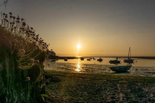 Pembrokeshire Coast Path, Wales.jpg