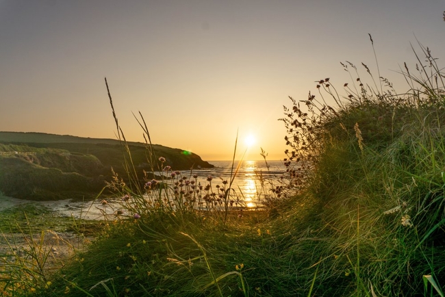 Pembrokeshire coastal path, wales.jpg