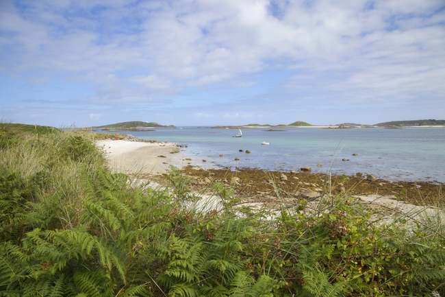 Pentle Bay, Tresco, Isles of Scilly.jpg