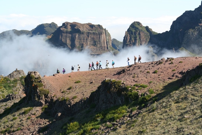 Pico ruivo madeira.jpg