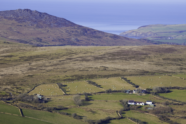 Preseli Hills.jpg