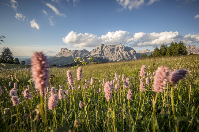 Sas dla Crusc ©Alta Badia Brand Freddy Planinschek.jpg