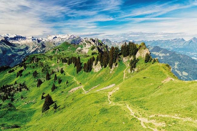 Schinyge Platte - Switzerland.jpg