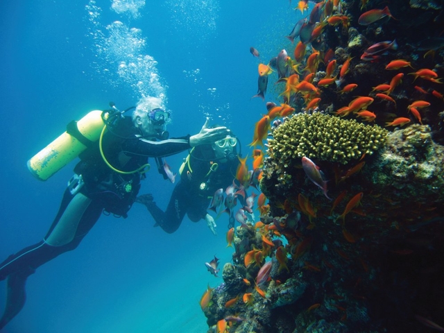 Scuba dive at Aqaba for an experience to remember.jpg