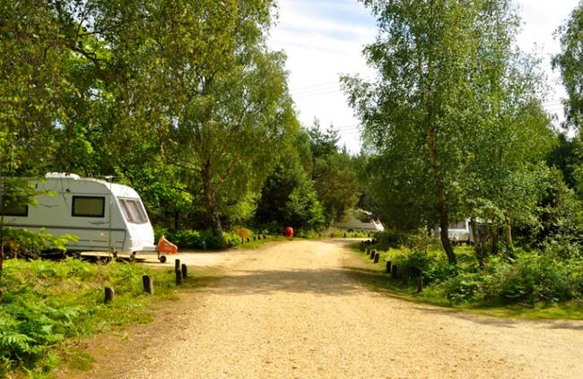Seethorns campsite, New Forest.PNG