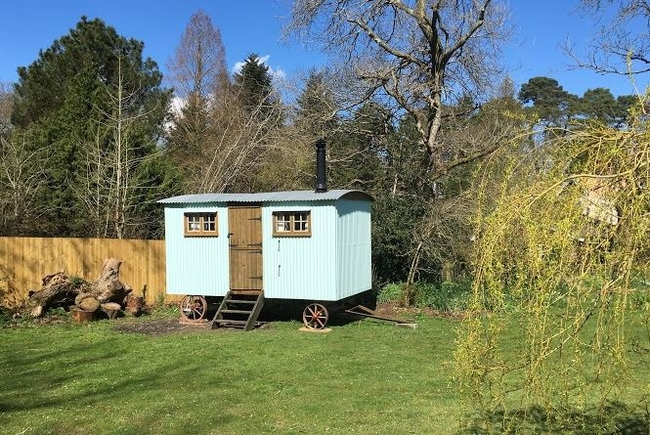 Shepherd's hut at the Fernwood Ringwood glamping site, New forest.jpg
