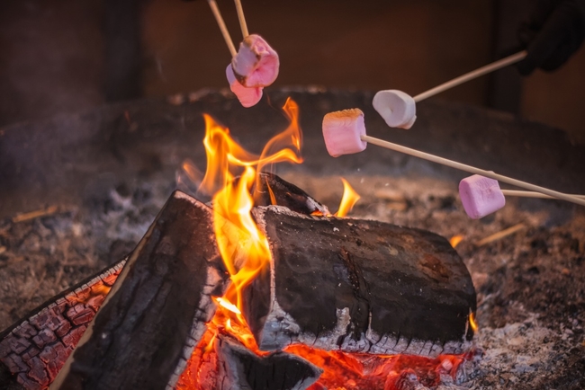 S'mores around the campfire.jpg