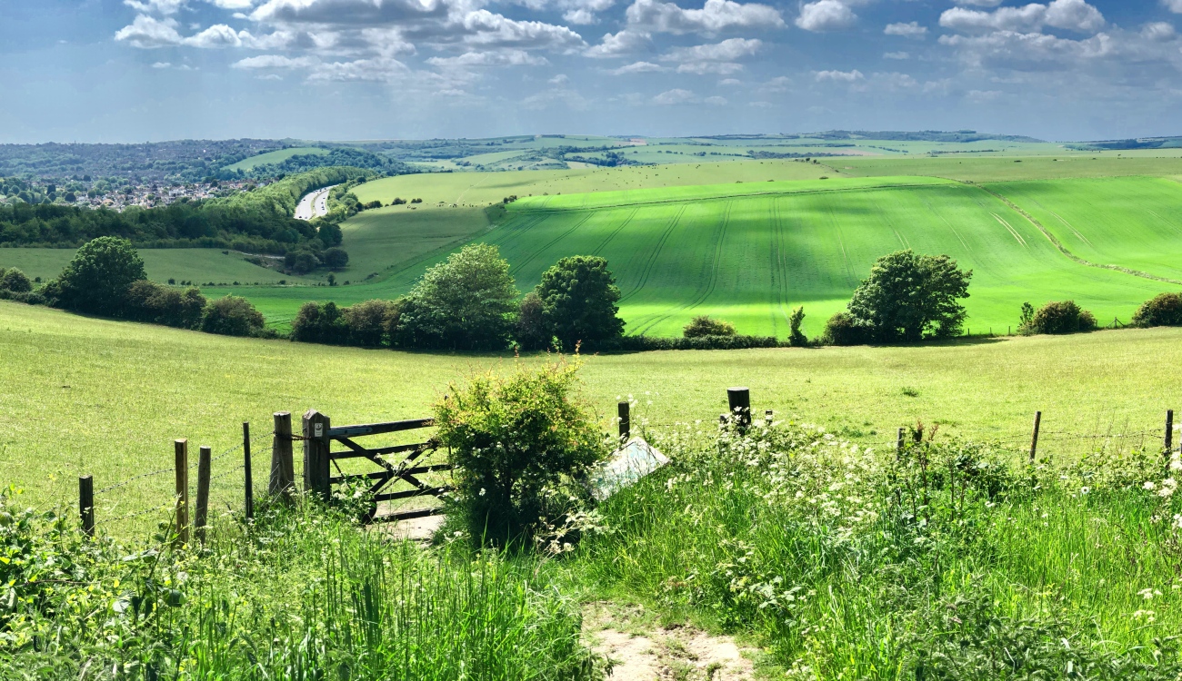 south-downs-uk