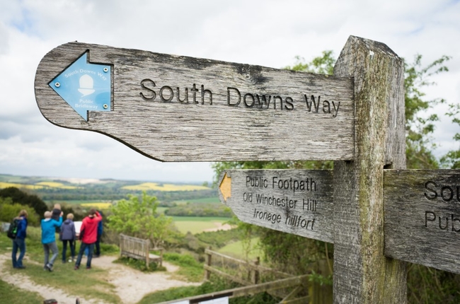 South Downs Way.jpg