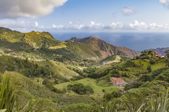 St Helena's lush landscapes.jpg