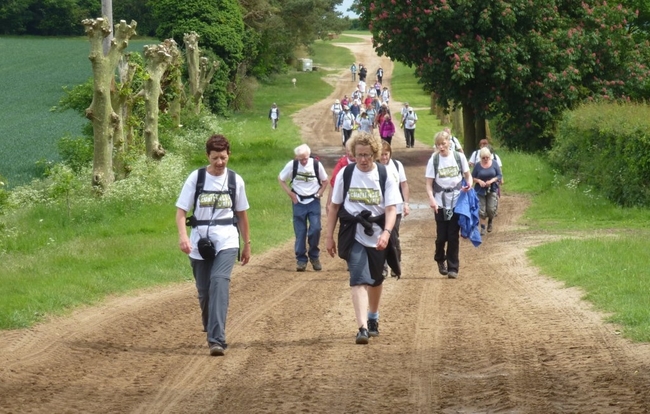 Suffolk Walking Festival web.jpg