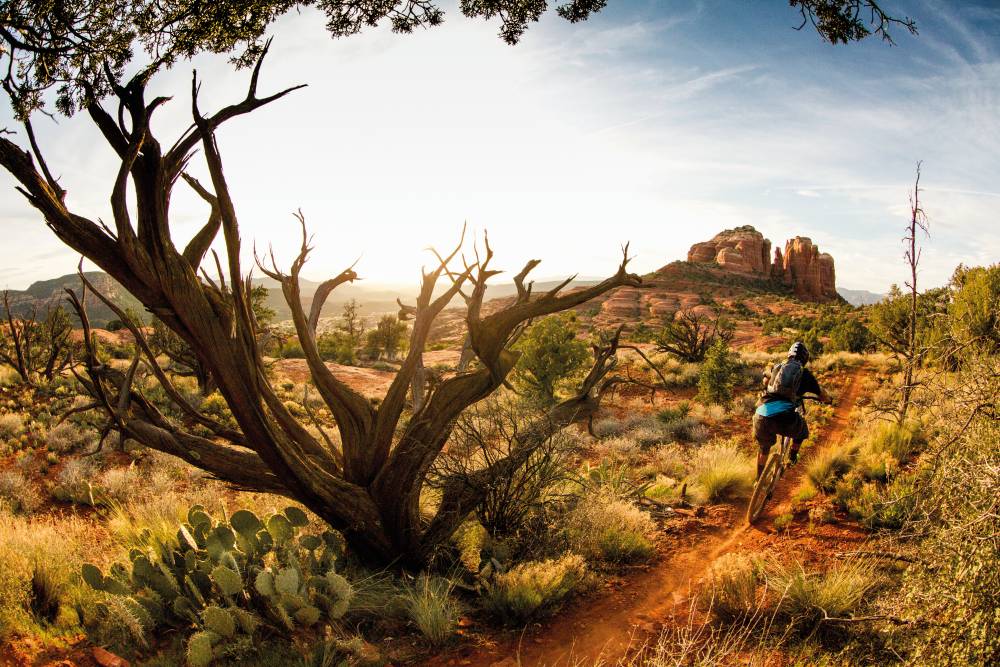 Unique scenery on the Arizona Trail.jpg