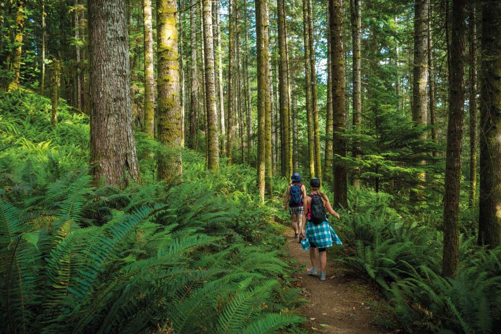 Vancouver Island Hiking.jpg