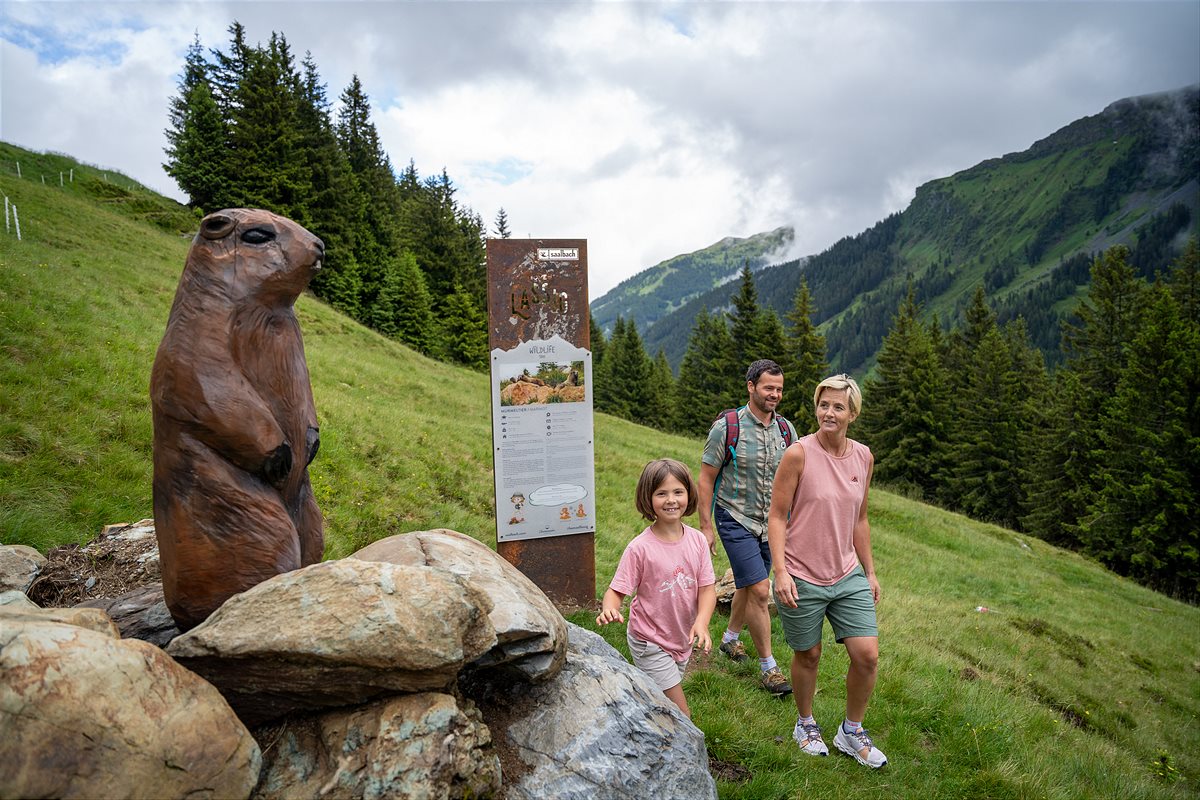 wildlife-trail-saalbach-salzburgerland-austria