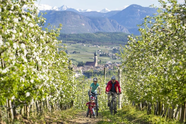 Wine and bike in South Tyrol.jpg