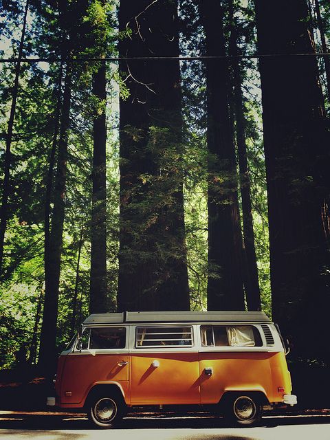Photo: Pinterest