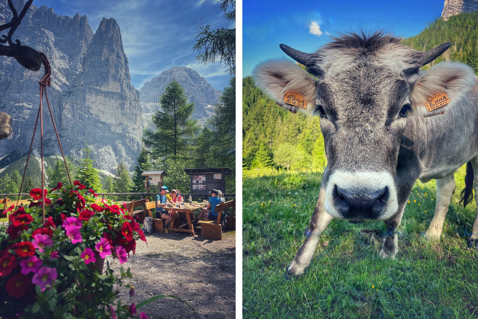 alta-via-route-1-dolomites