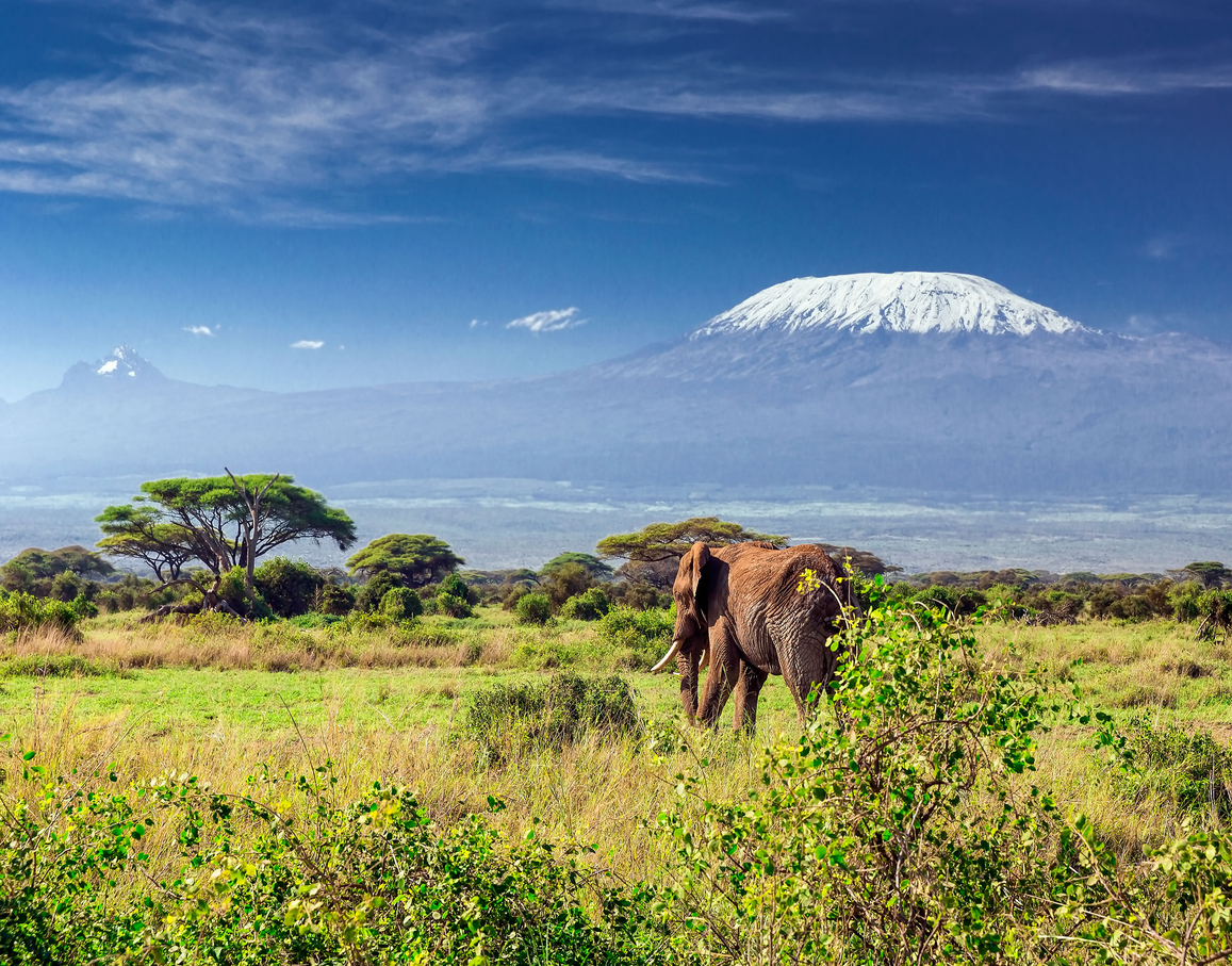 Mt Kilimanjaro Africa