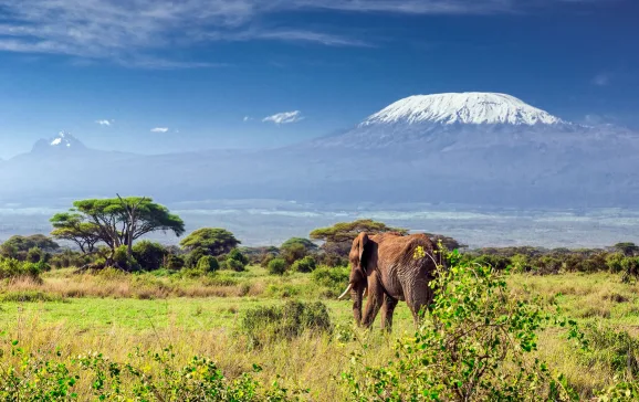 Mt Kilimanjaro Africa