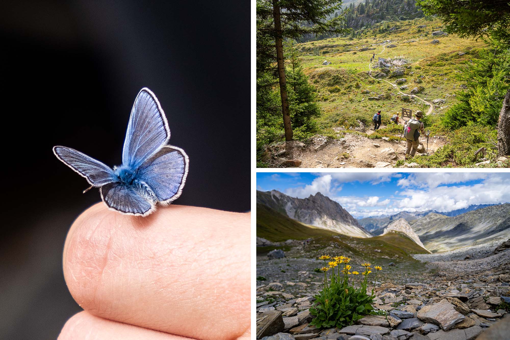 Hiking the Grand Tour des Combins, Swiss Alps