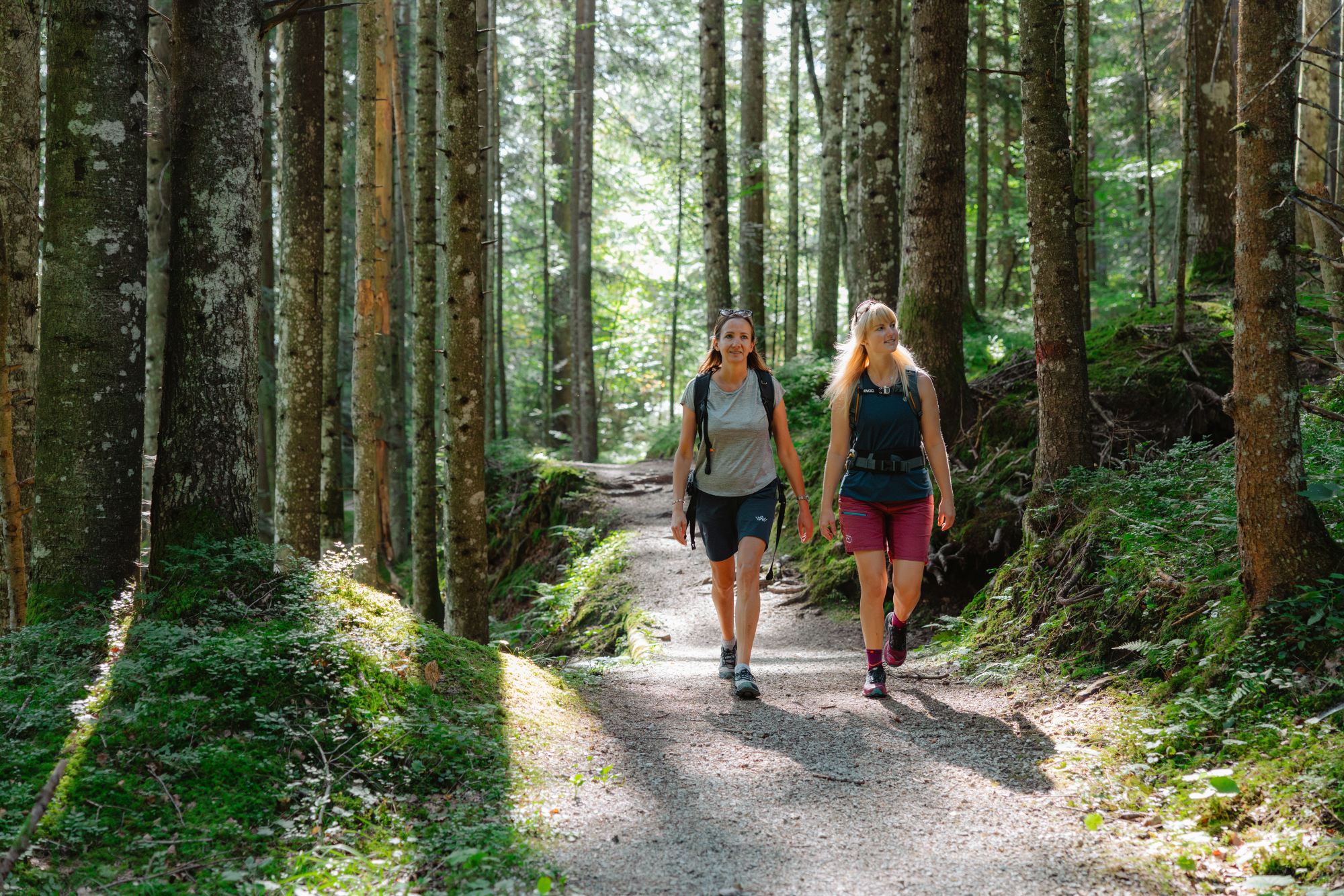 kaiserblute-walking-tour-wilder-kaiser