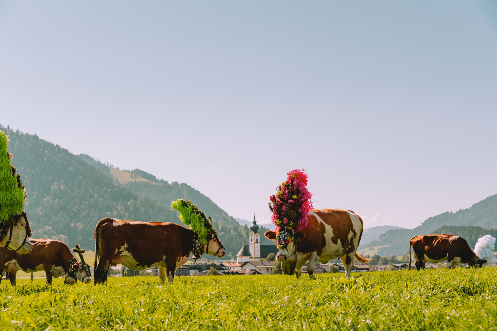kaiserblute-walking-tour-wilder-kaiser