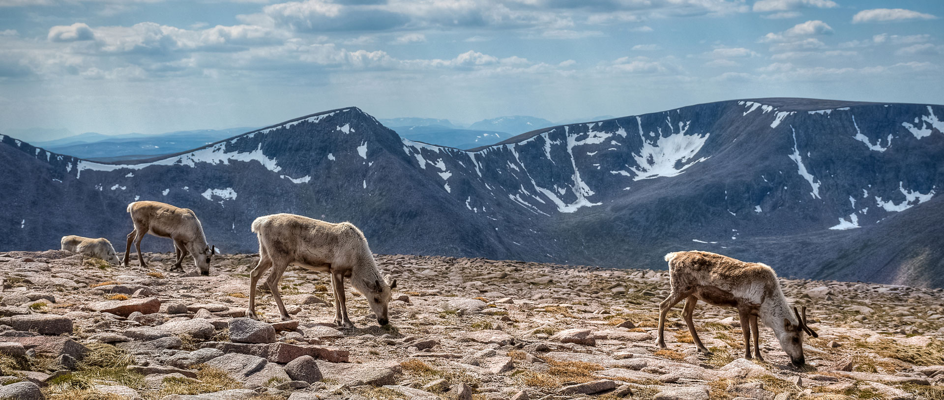 second-highest-mountain-in-uk-ben-macdui