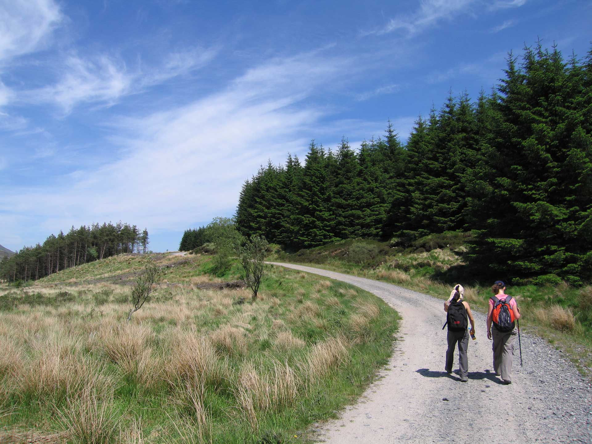 Best-Walks-In-Scotland-Walking-in-Dumfries-and-Galloway