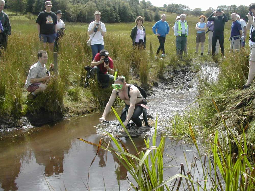bog snorkelling championships