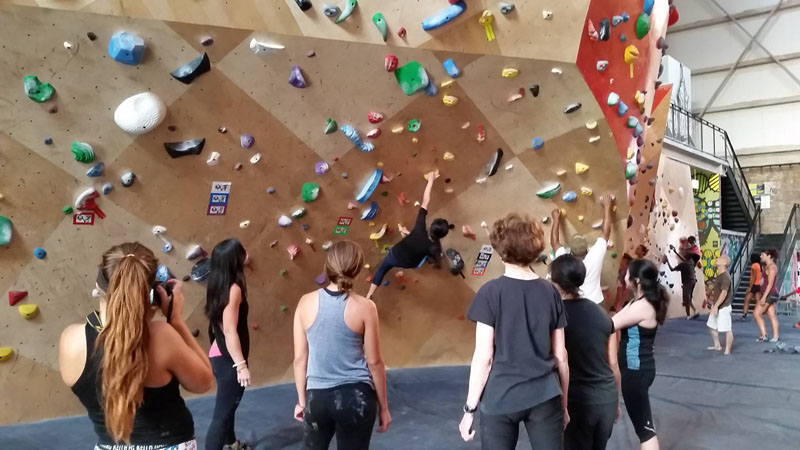 Bouldering Walls World Climbing Extreme Edge Panmure New Zealand