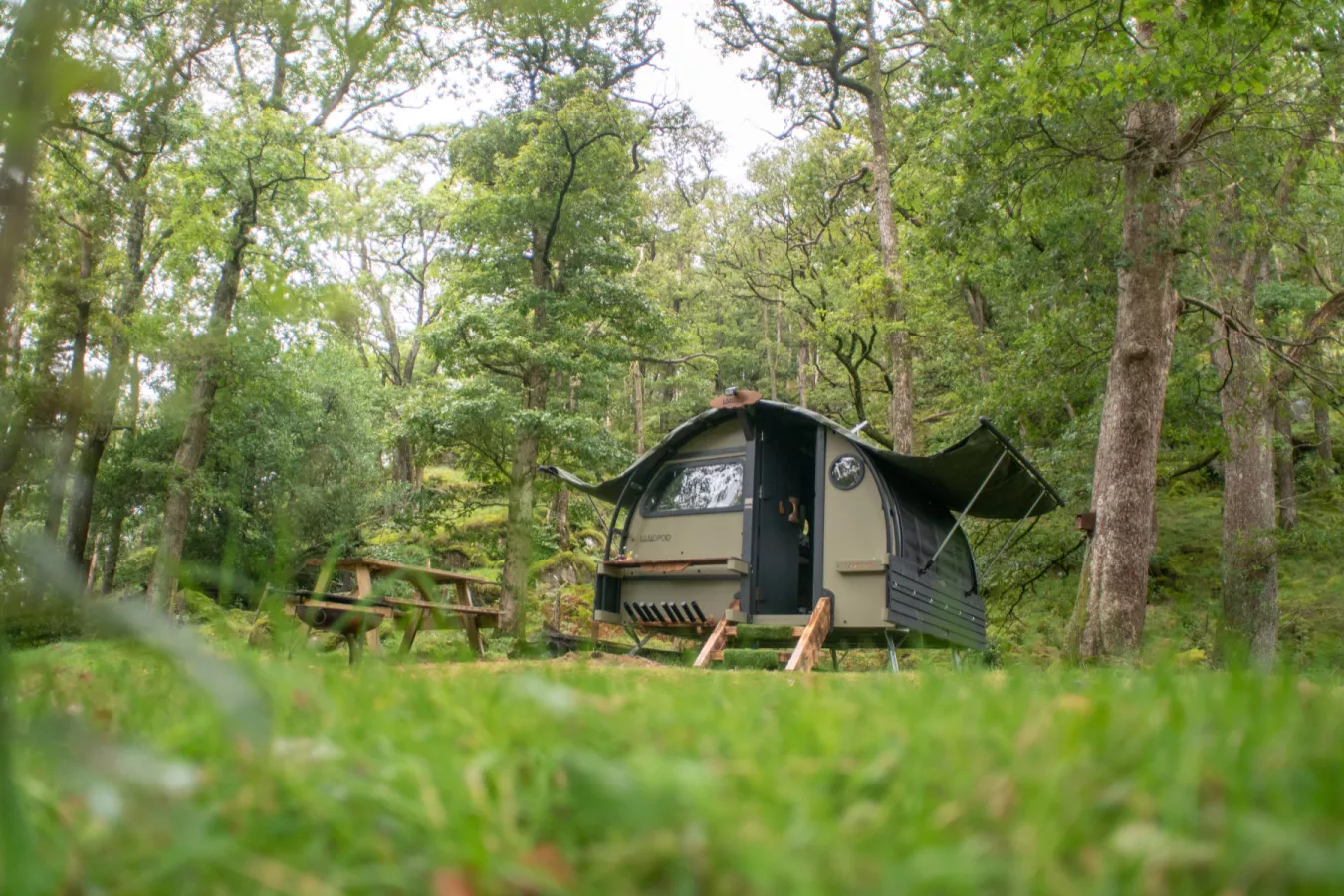 yha-new-forest-landpod