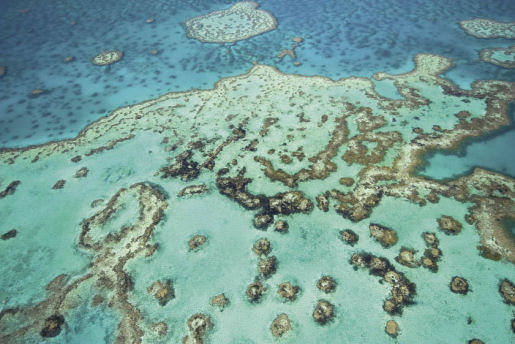great barrier reef australia