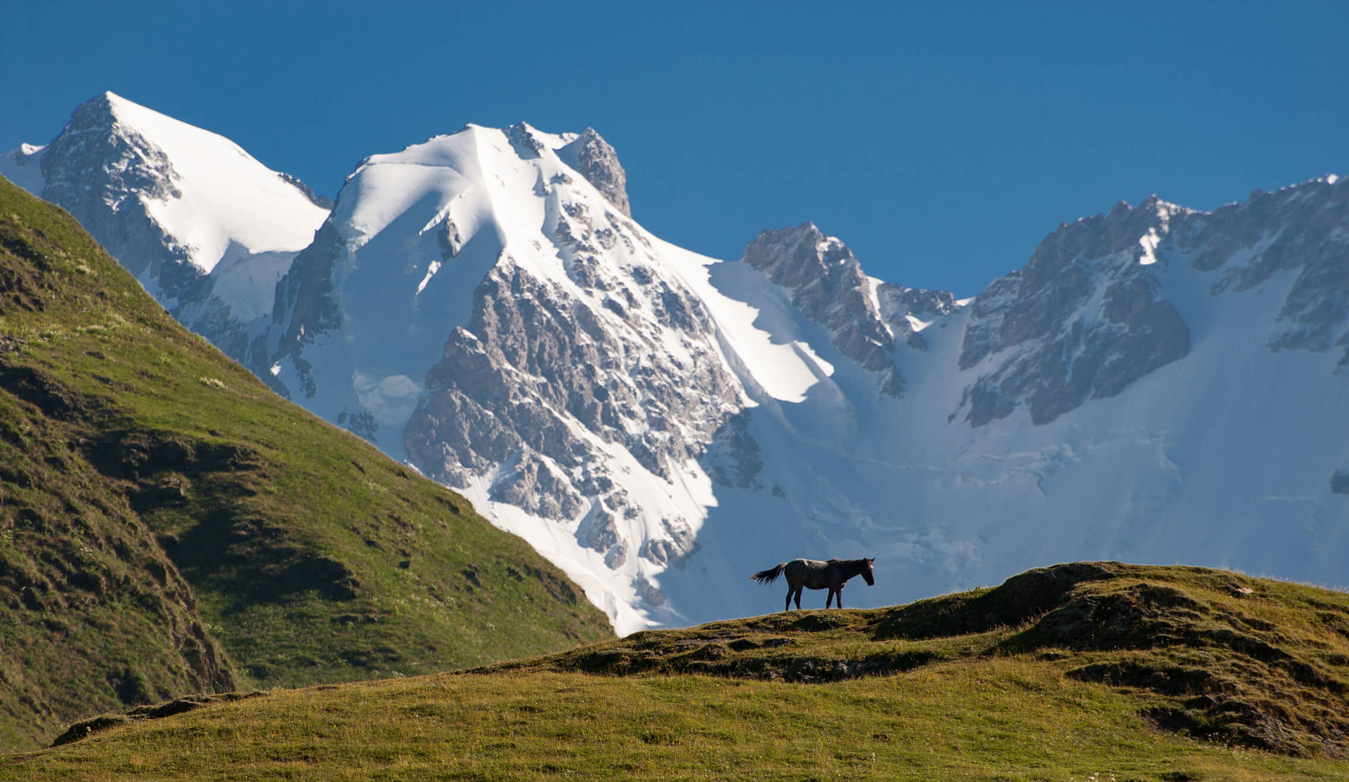 Pictured: Shkhara, Europe's thrid highest mountain