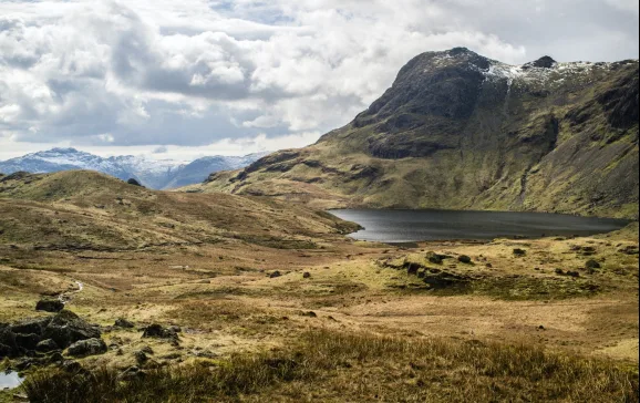 harrison tarn credit john paul walsh on unsplash