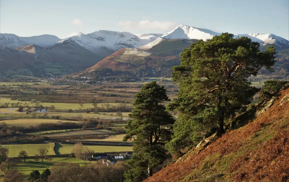 highest mountain in england