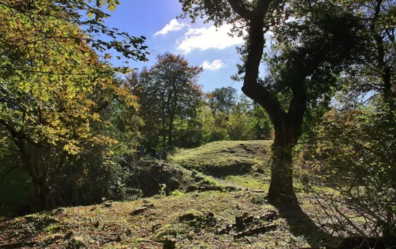 leigh woods credit chodhound wikimedia cc license