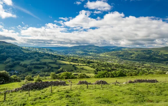 view with green fields trees and hills on sunny day header image best walks in brecon beacons credit istock alexy fedoren