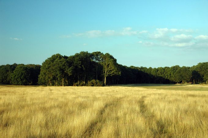 Chess ValleY. Credit: iStock/Chezzers