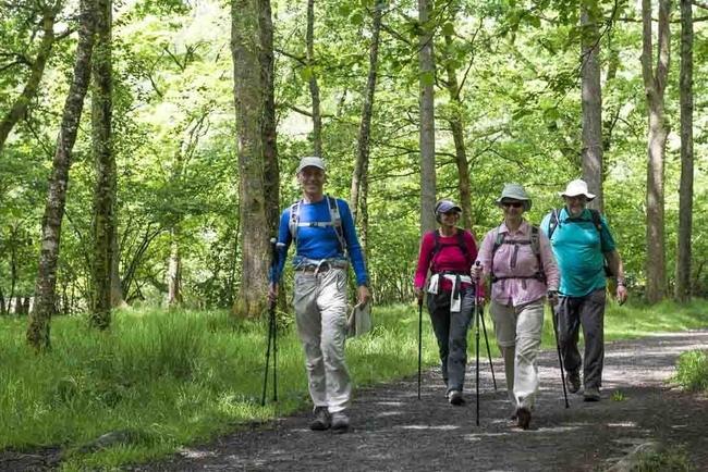 loughrigg fell terrace walk from Rydal Walking guide white moss woods loughrigh terrace by daniel wildey 1389105010