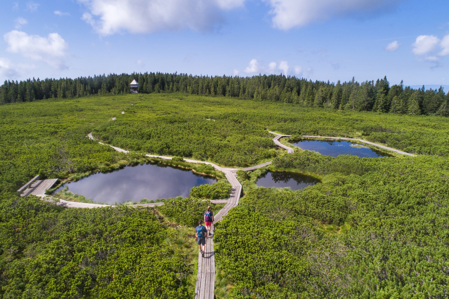 lovrenc-lakes-slovenia
