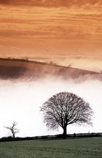 Misty-View-from-Visit-Devon