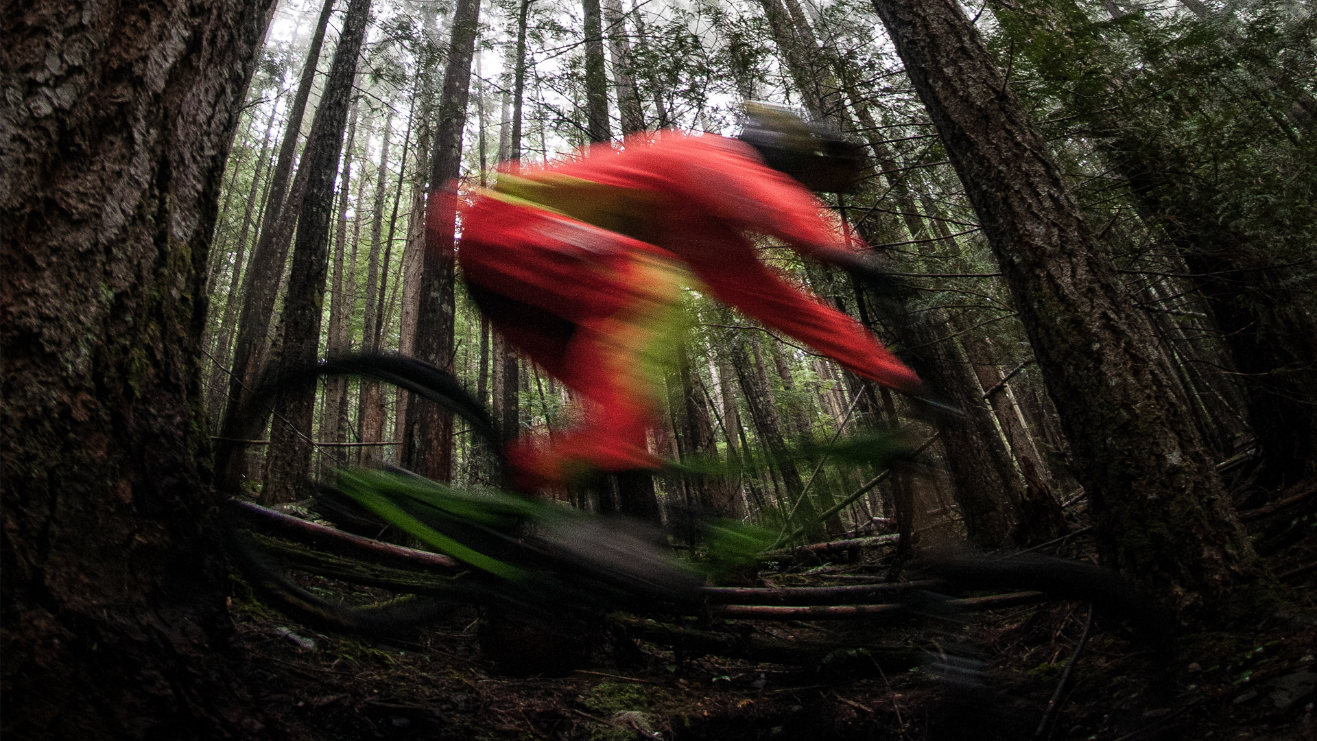 mountain biking in cairngorms