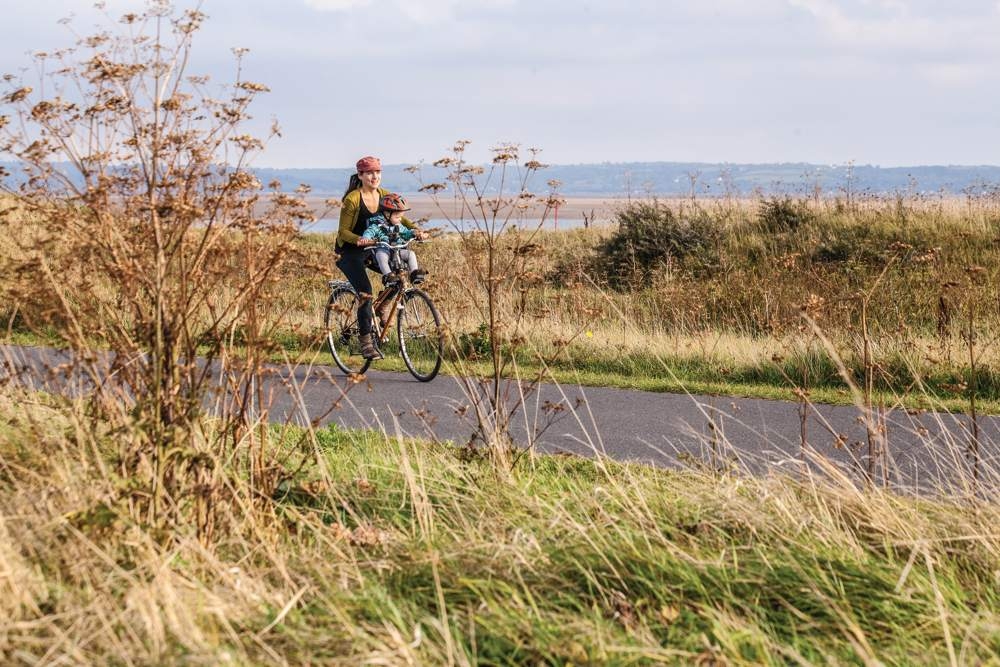 pembrokeshire cycle route