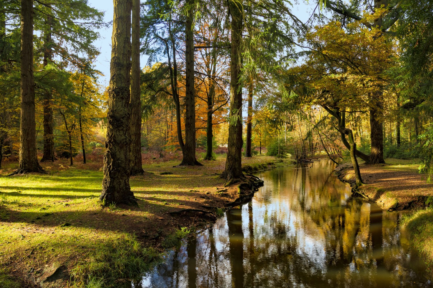 Places To Stay In The New Forest Six Great Hotels In The New Forest 