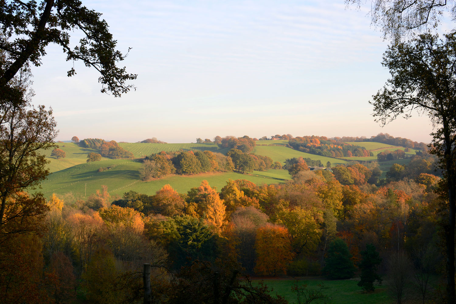 wild-camping-near-london-surrey-hills